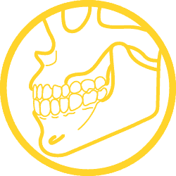 icon-jaw-bone-dev