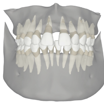 virtual-roots-image